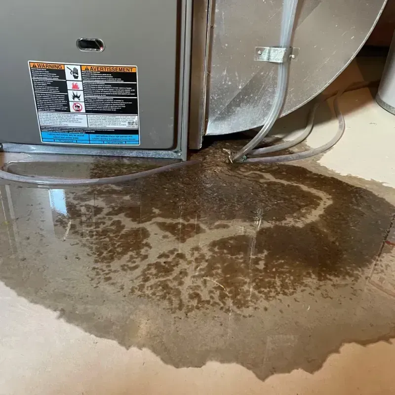 Appliance Leak Cleanup in Lewistown, PA